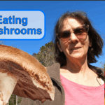 Eating Mushrooms