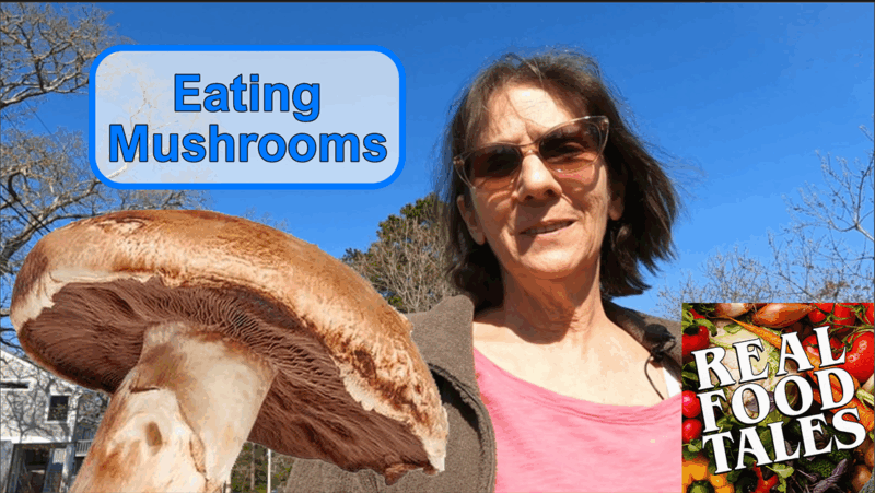 Eating Mushrooms