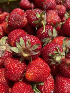 Whipped Evaporated Milk